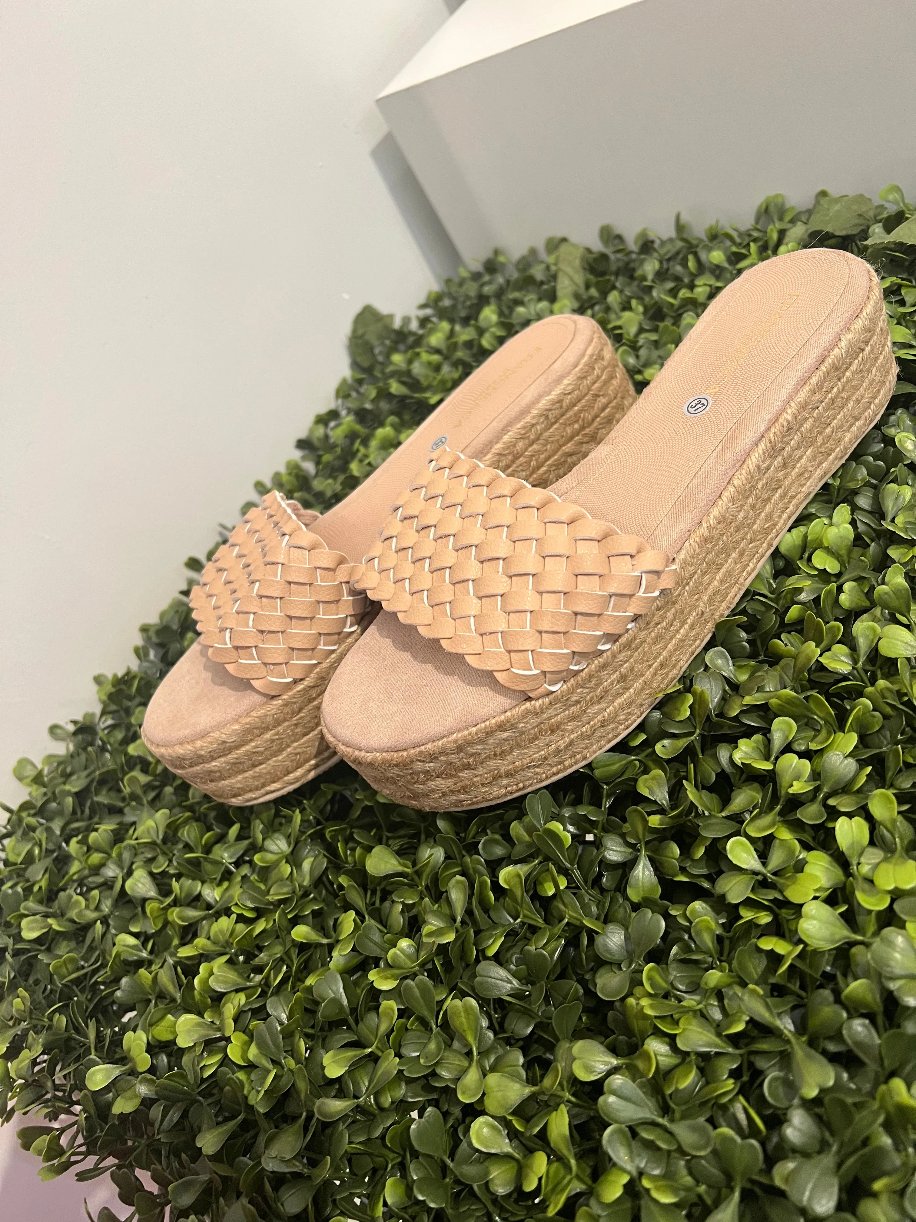 AB Revive Shoes