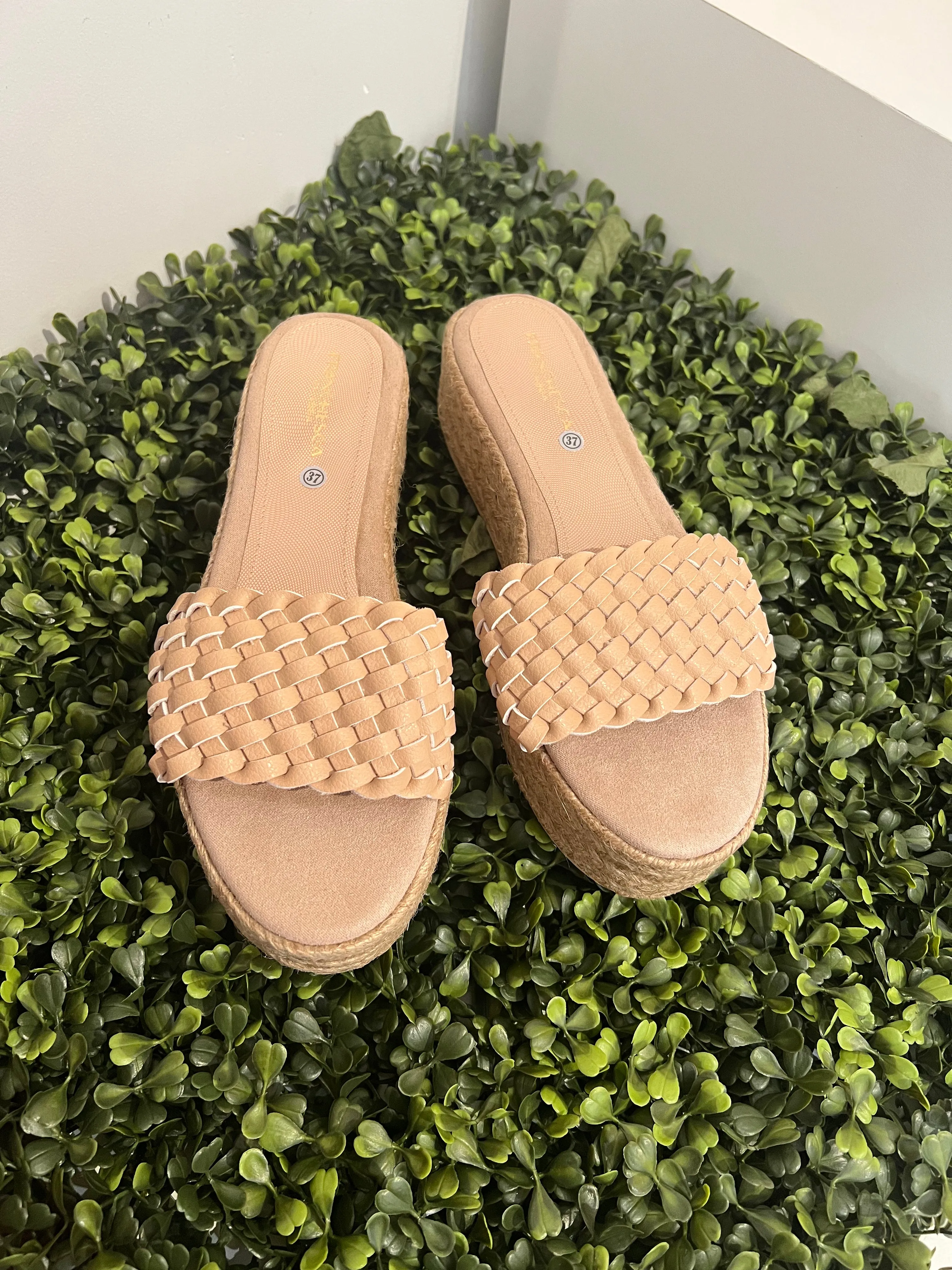 AB Revive Shoes