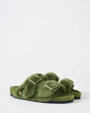 arizona shearling
