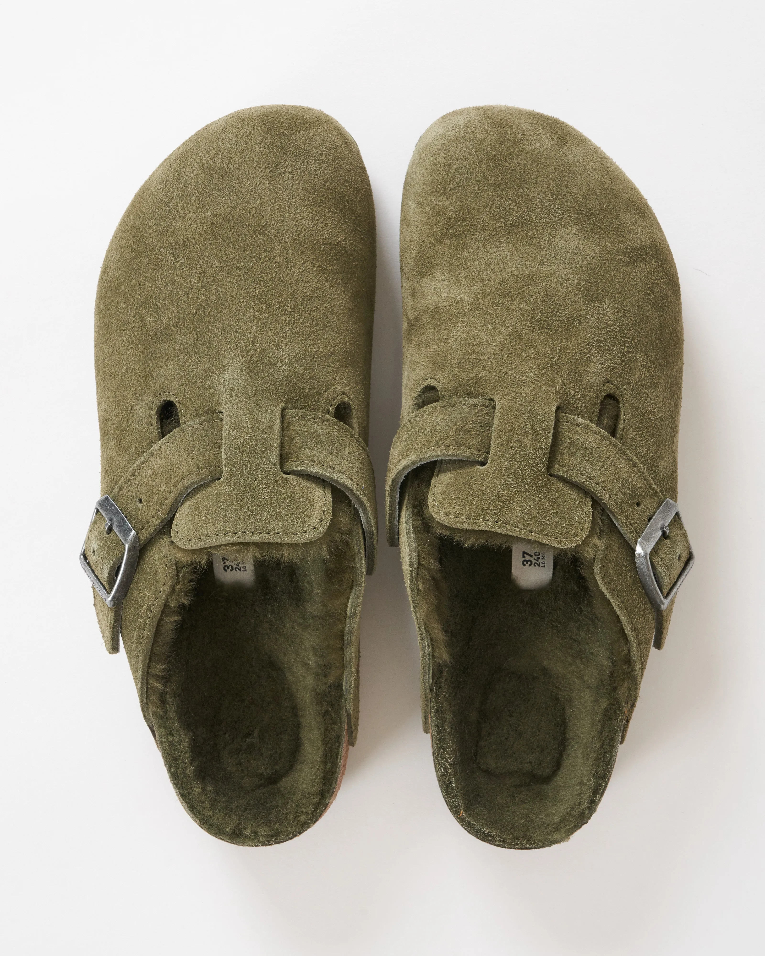 boston shearling