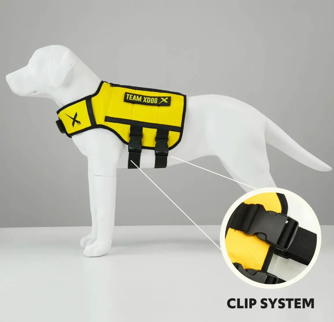 EXERCISE VEST
