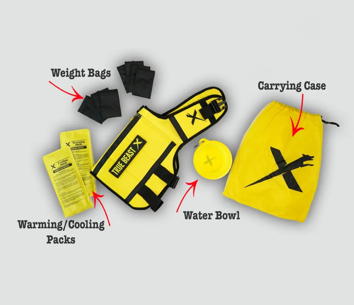 EXERCISE VEST