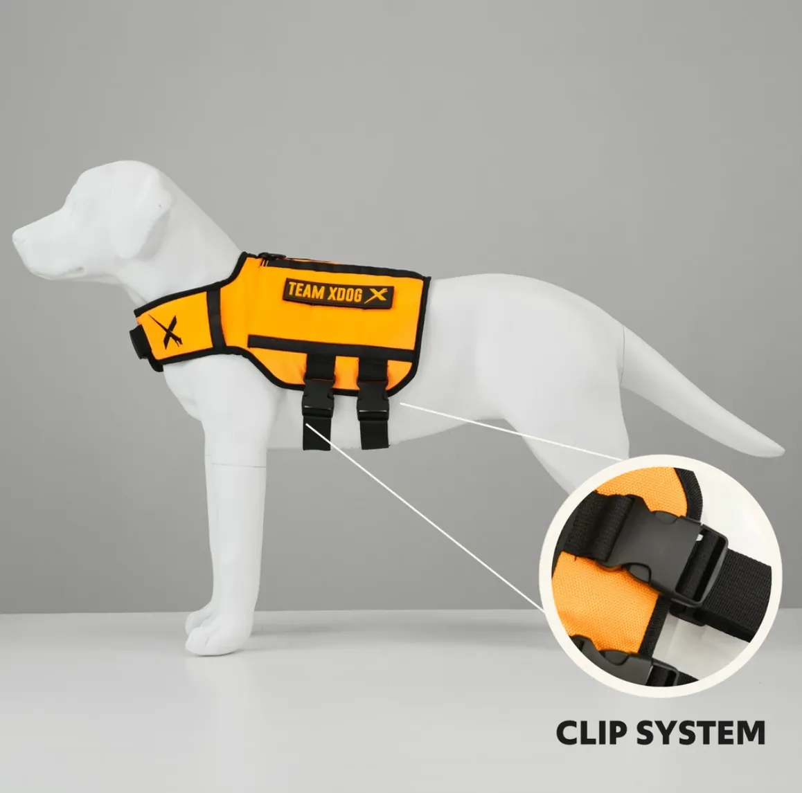 EXERCISE VEST