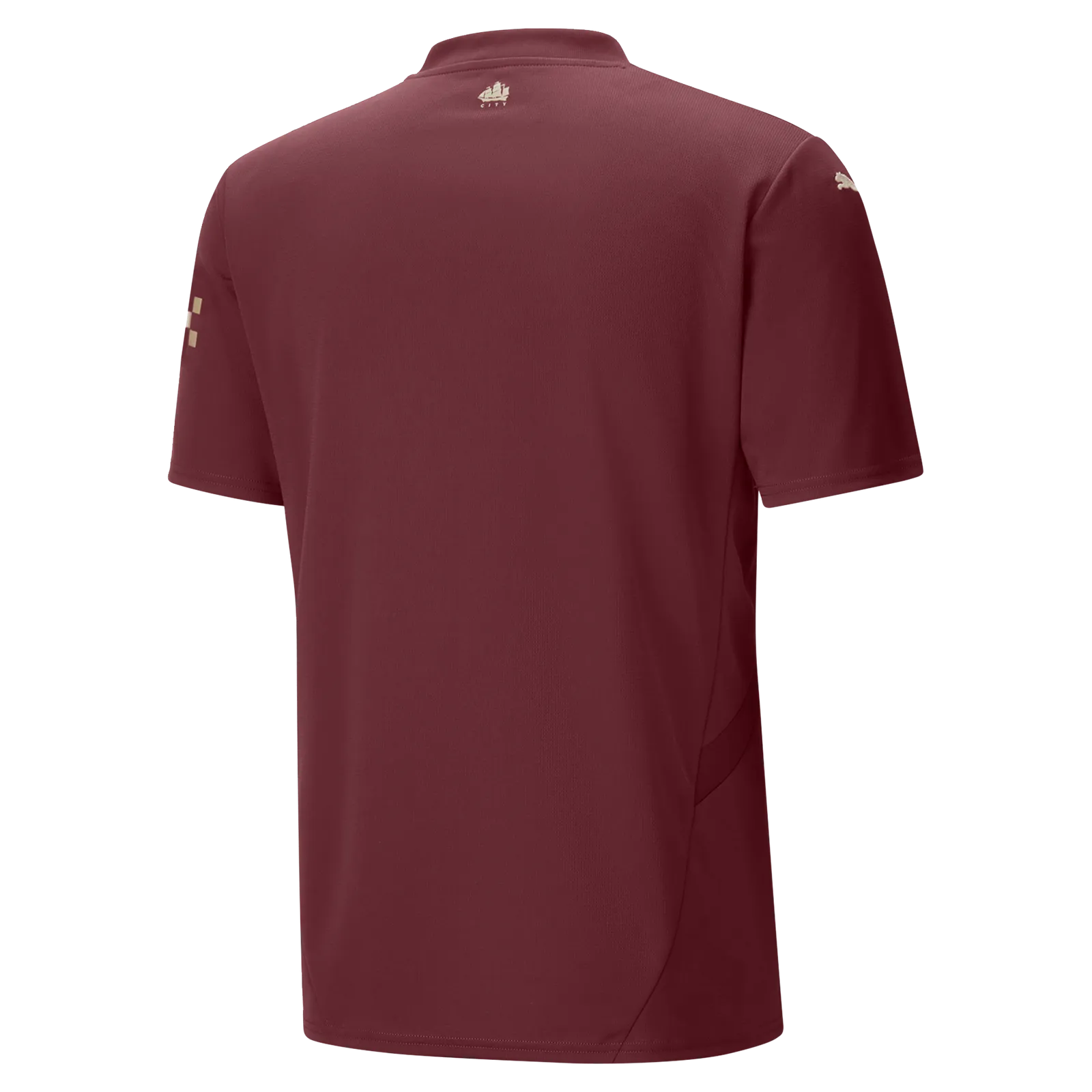Puma Manchester City Mens Third Jersey