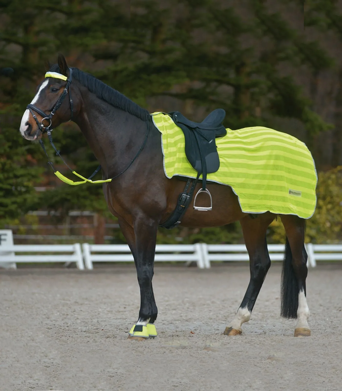 Reflex Reflective Exercise Sheet