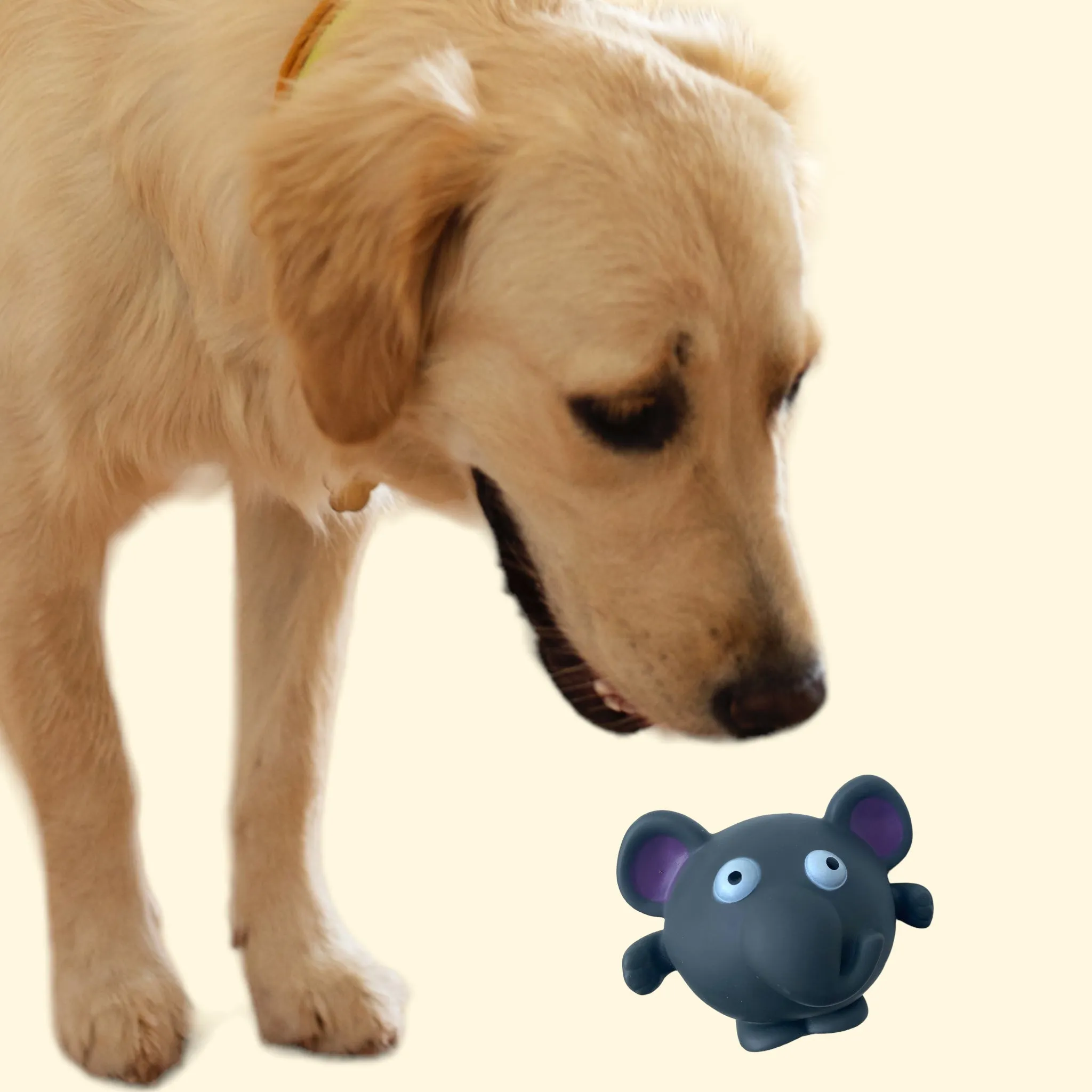 Talking Dog Club Elephant Bouncy Ball Toy for Dogs (Grey)