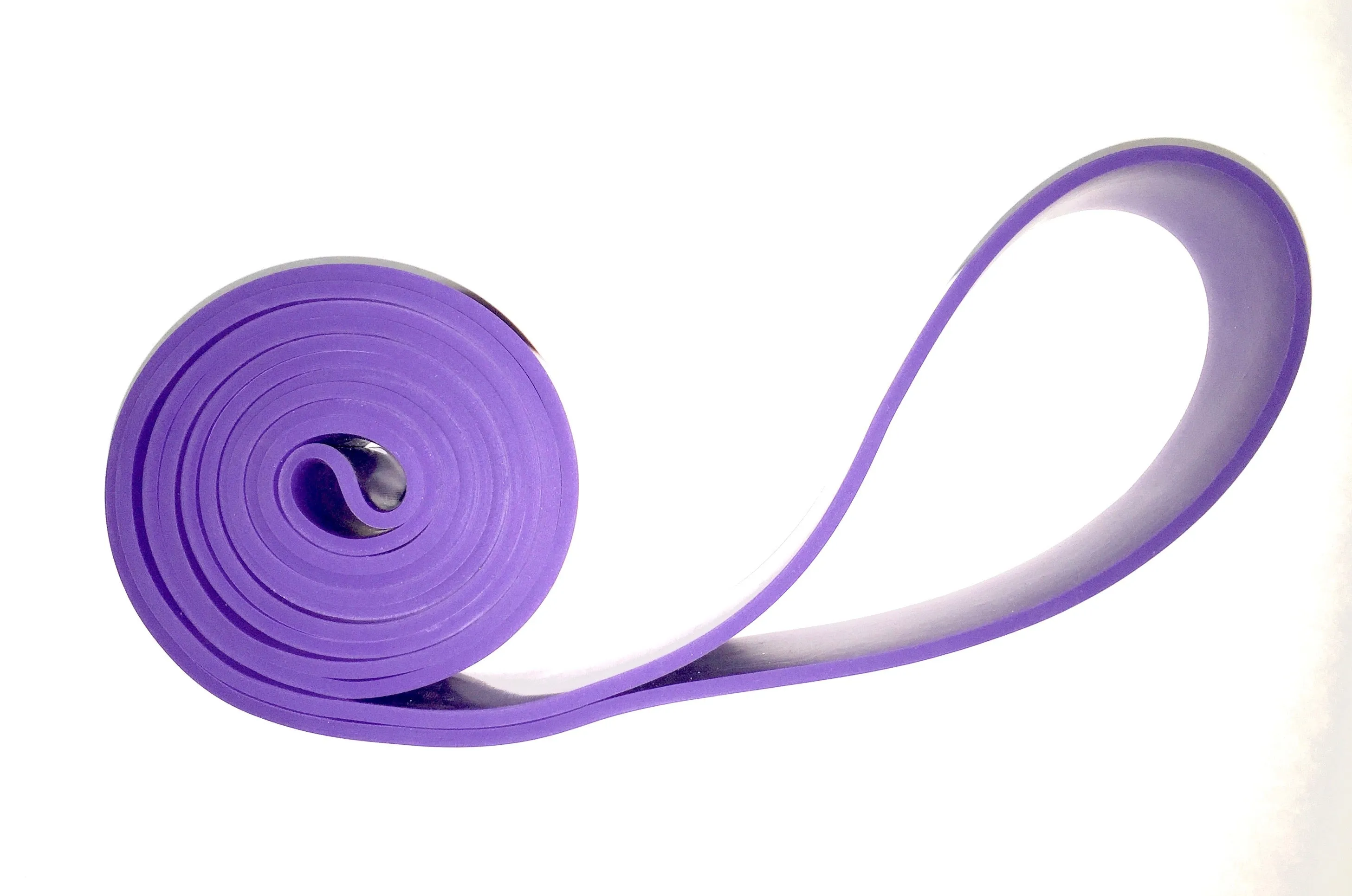 Tendu Stretch Loop - T1021