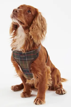 Travel And Exercise Harness